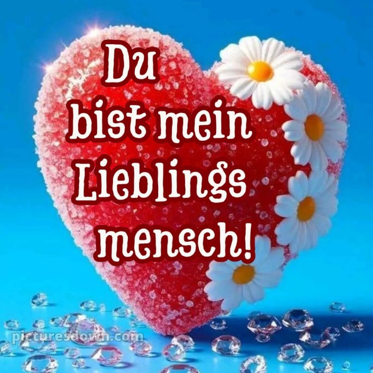 Ich liebe dich bilder mit herz bild Gänseblümchen kostenlos