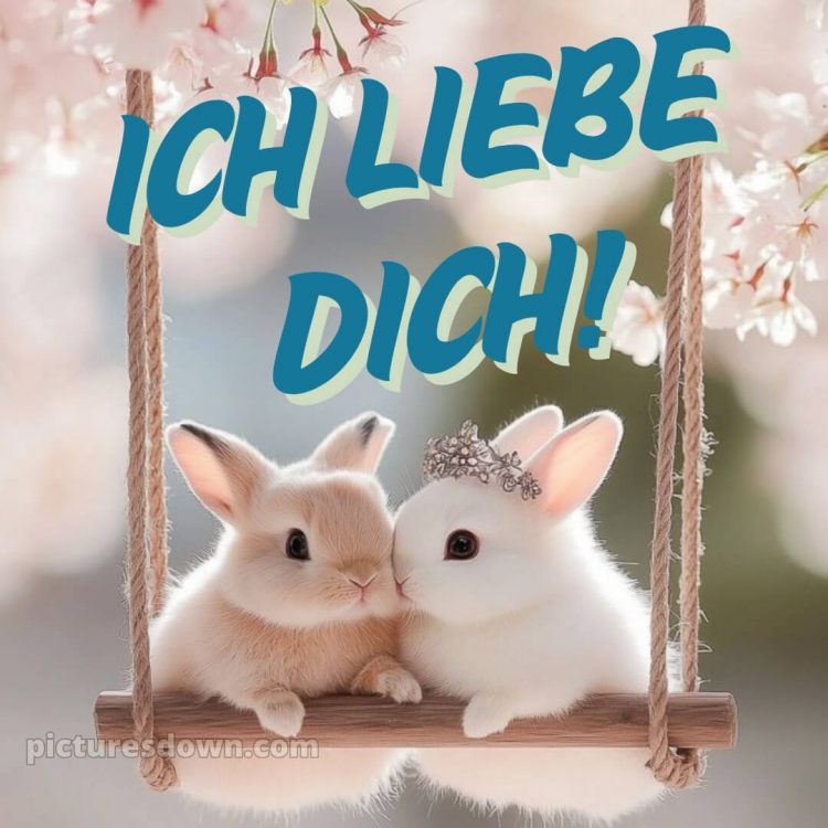 Ich liebe dich bilder romantisch bild Kaninchen kostenlos