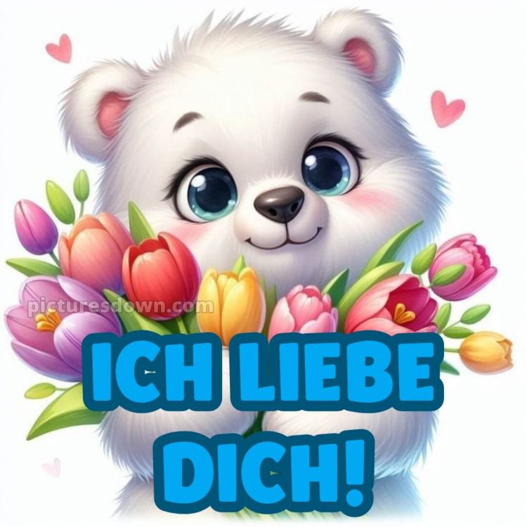 Ich liebe dich bilder süß bild Bär kostenlos