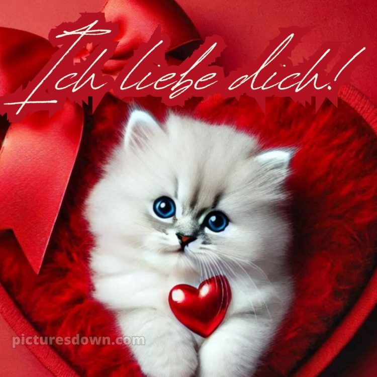 Ich liebe dich bilder süß bild Herz kostenlos