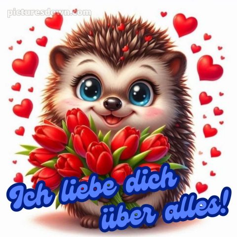 Ich liebe dich bilder süß bild Igel kostenlos