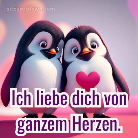 Ich liebe dich bilder süß bild Pinguine kostenlos