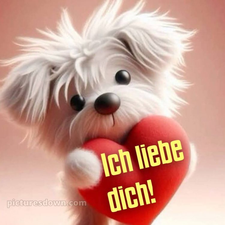 Ich liebe dich bilder süß bild Hund kostenlos