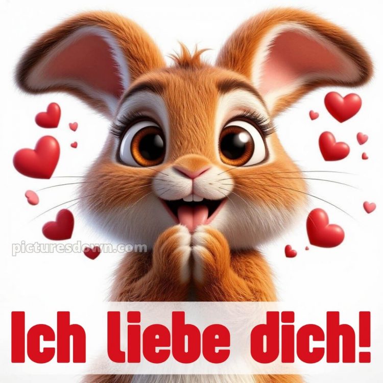 Ich liebe dich mein schatz bilder kostenlos bild Hase kostenlos