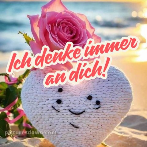 Ich liebe dich süße bilder bild Rose kostenlos