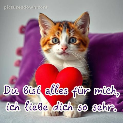 Ich liebe dich süße bilder bild Katze kostenlos