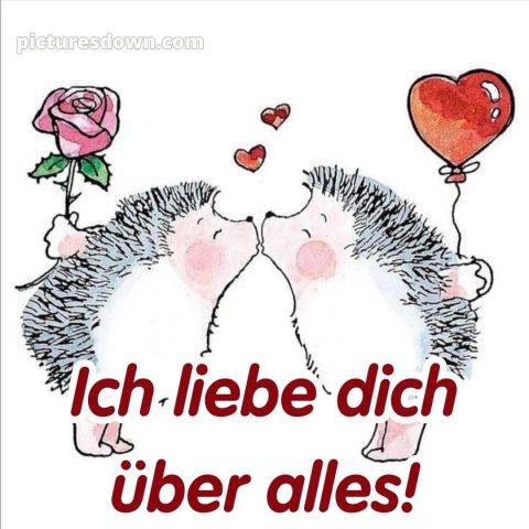 Ich liebe dich über alles bilder bild Igel kostenlos