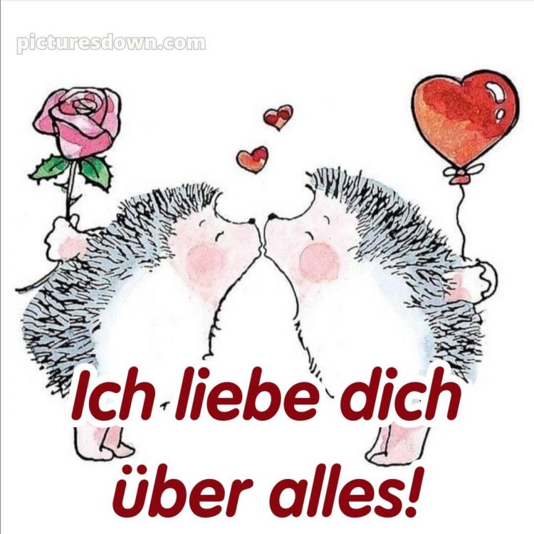Ich liebe dich über alles bilder bild Igel kostenlos