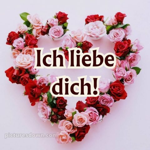 Ich liebe dich über alles bilder bild Herzblumen kostenlos