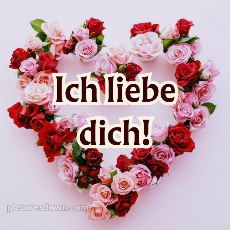 Ich liebe dich über alles bilder bild Herzblumen kostenlos