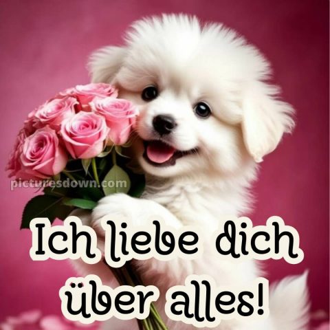 Romantische ich liebe dich bilder bild Strauß kostenlos