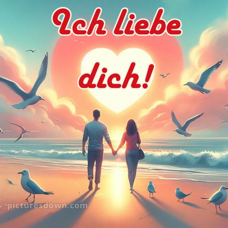 Romantische ich liebe dich bilder kostenlos bild Möwen kostenlos