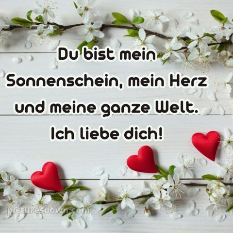 Romantische ich liebe dich bilder kostenlos bild Blüte kostenlos
