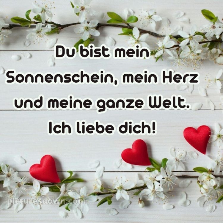 Romantische ich liebe dich bilder kostenlos bild Blüte kostenlos