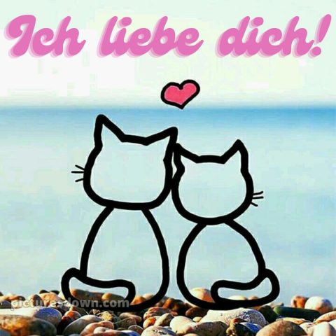 Romantische liebeserklärung ich liebe dich bilder bild Katzen kostenlos