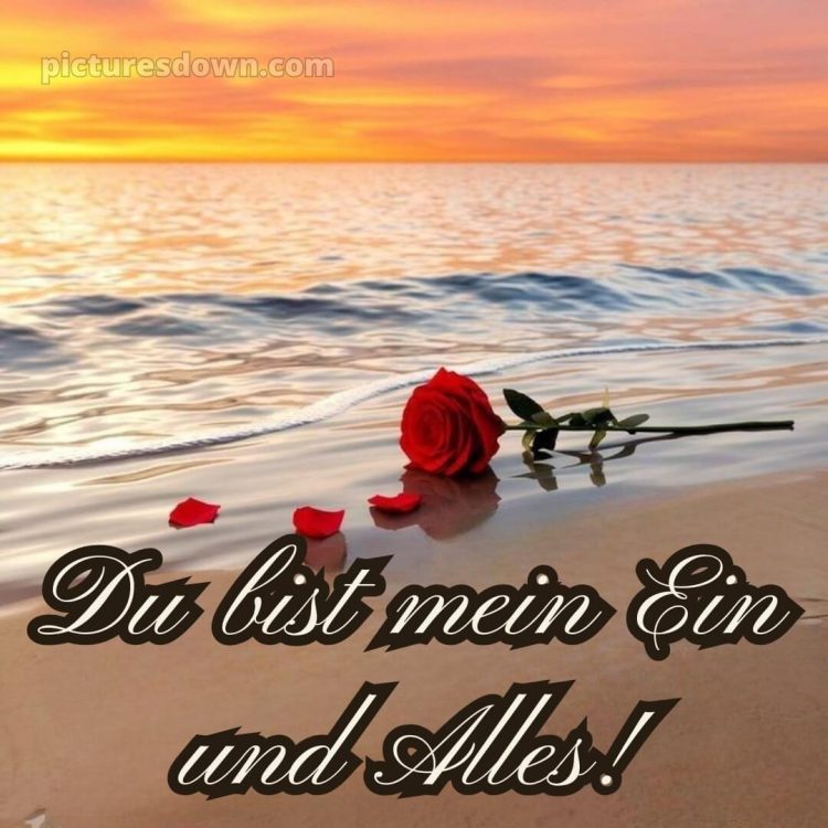 Romantische liebeserklärung ich liebe dich bilder bild Meeresküste kostenlos