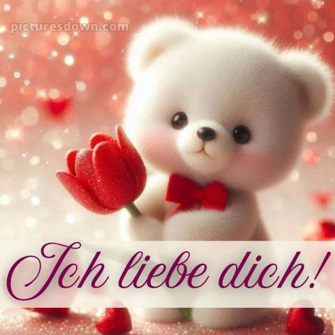 Romantische liebeserklärung ich liebe dich bilder bild Eisbär kostenlos