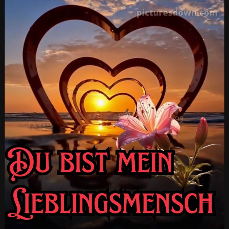 Romantische liebeserklärung ich liebe dich bilder bild Meer kostenlos