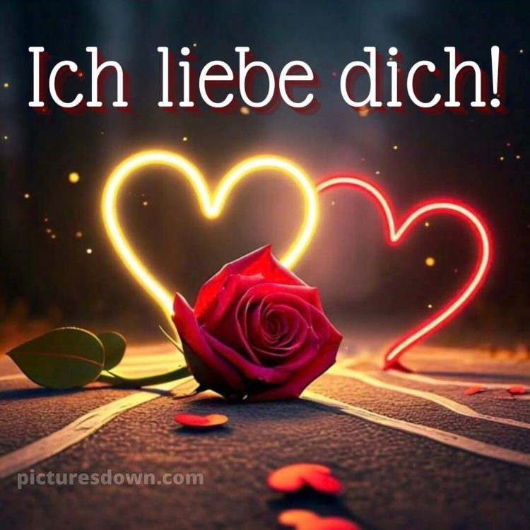 Romantische liebeserklärung ich liebe dich bilder bild Rose kostenlos