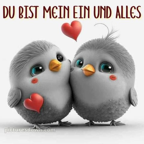 Whatsapp ich liebe dich bilder kostenlos bild Vögel kostenlos