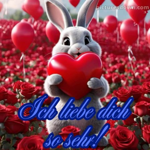 Whatsapp ich liebe dich bilder kostenlos bild Hase kostenlos
