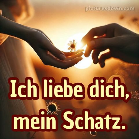 Bilder ich liebe dich mein schatz bild 14 kostenlos