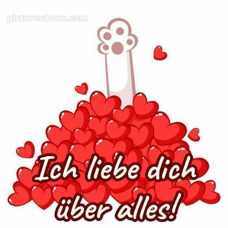 Bilder ich liebe dich über alles bild 4 kostenlos