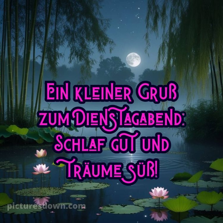 Dienstag abend gute nacht bild 10 kostenlos