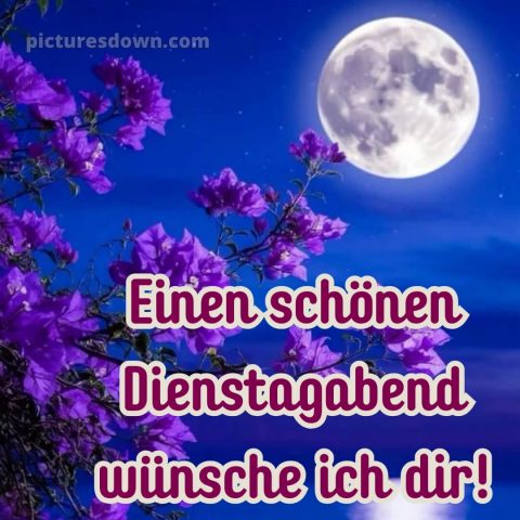 Dienstag abend gute nacht bild 11 kostenlos