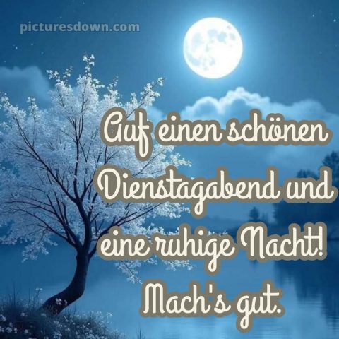 Dienstag abend gute nacht bild 12 kostenlos