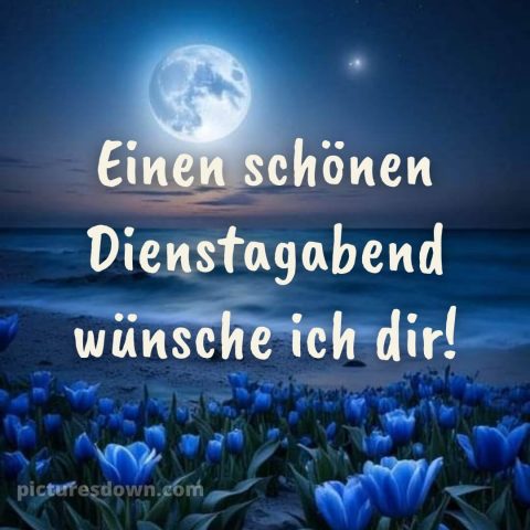 Dienstag abend gute nacht bild 2 kostenlos