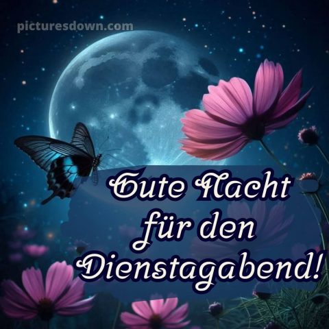 Dienstag abend gute nacht bild 3 kostenlos