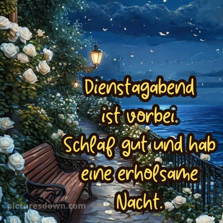 Dienstag abend gute nacht bild 7 kostenlos