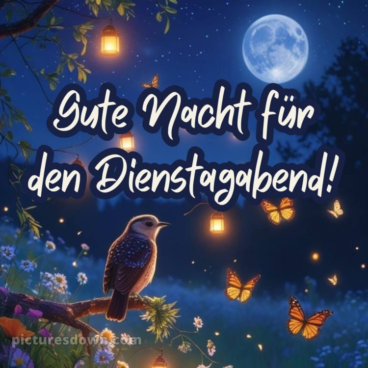 Dienstag abend gute nacht bild 8 kostenlos