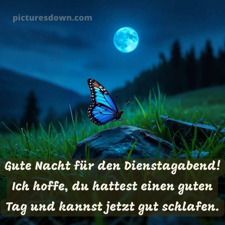 Dienstag abend gute nacht bild 9 kostenlos