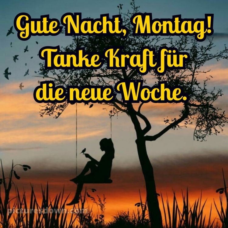 Gute nacht bilder montag bild 13 kostenlos