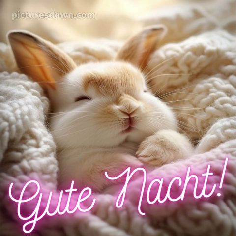 Gute nacht bilder montag bild 4 kostenlos