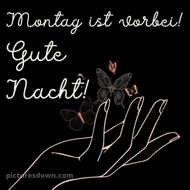 Gute nacht bilder montag bild 5 kostenlos