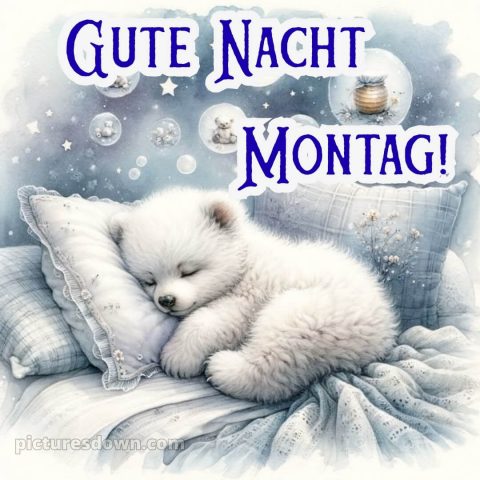 Gute nacht bilder montag bild 8 kostenlos