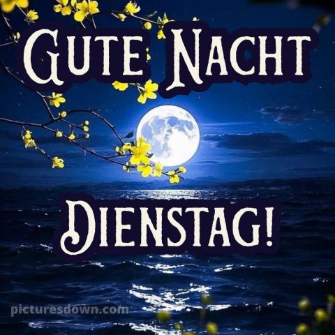 Gute nacht dienstag bild 10 kostenlos