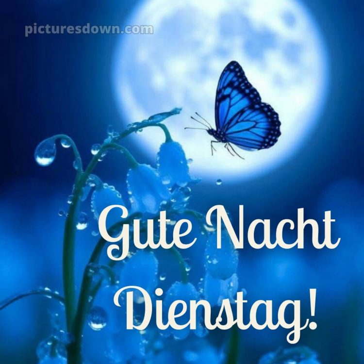 Gute nacht dienstag bild 12 kostenlos