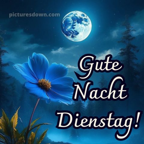 Gute nacht dienstag bild 15 kostenlos