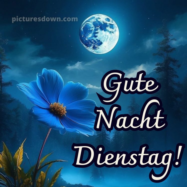 Gute nacht dienstag bild 15 kostenlos