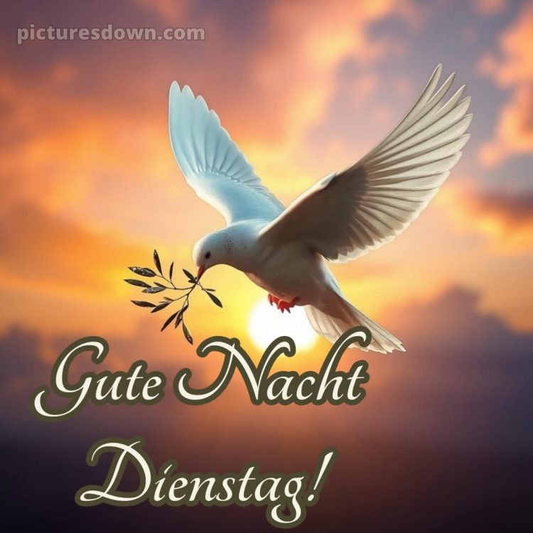 Gute nacht dienstag bild 3 kostenlos