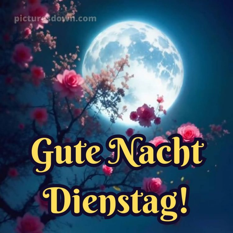 Gute nacht dienstag bild 4 kostenlos