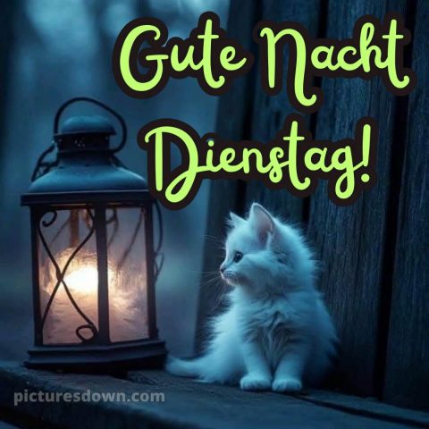 Gute nacht dienstag bild 7 kostenlos