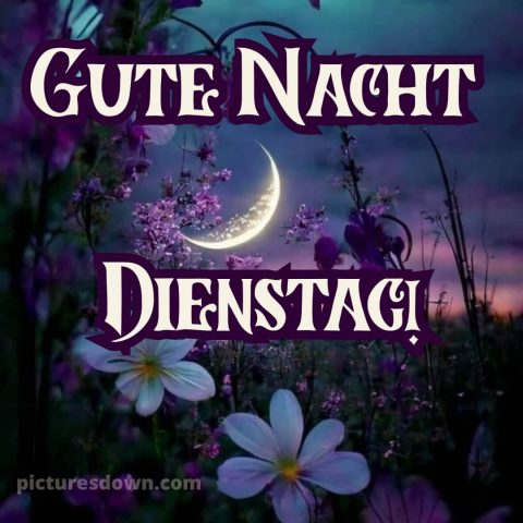 Gute nacht dienstag bild 8 kostenlos