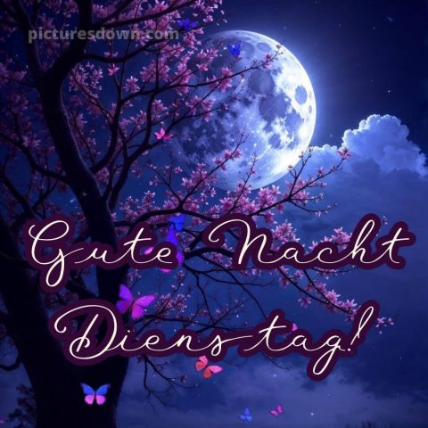 Gute nacht dienstag bild 9 kostenlos