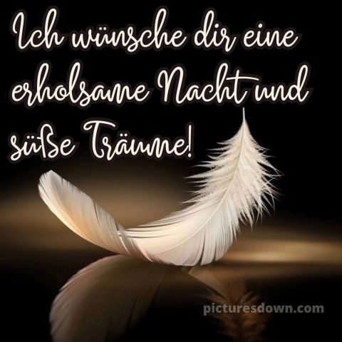 Gute nacht montag bild 1 kostenlos