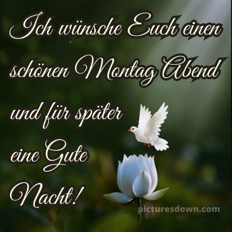 Gute nacht montag bild 5 kostenlos